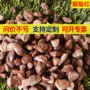 庭院铺路园林彩色碎石