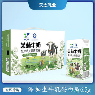 New Arrival Tiantai Jasmine Snow Bud Milk Raw Milk Children's Breakfast Milk Mountain Gardenia Milk 250ml*6 Boxes Batch