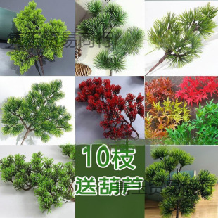 �~�ɘ�ؘ����Ϸ����b��ɘ�֦���~����ӭ�����~�Ӽ���֦���~���