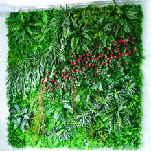 �����ƺ�Gֲ��ֲ�ﱳ�������̨�ړ��ٻ��b�Ƥ���Ϡ��T�^�҃�