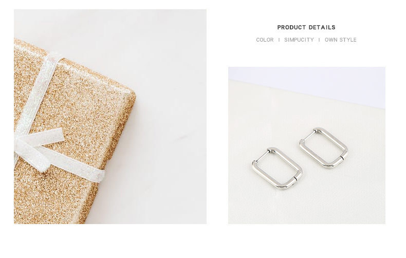 Fashion Geometric Titanium Steel Plating Earrings 1 Pair