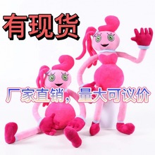 �羳���ȋ��������Α�r�gpoppy playtime���L��֩�뾫ë�q���