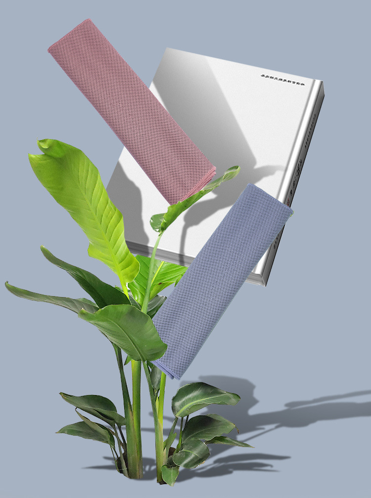 a8fd2b30-f154-4c31-a99e-592820e7cac6.jpe