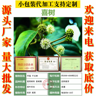 �G����ľ�N�� ϲ��N�� �e��:��ɏ ˮ�� ˮͩ�� ��ɏ�ӷN��