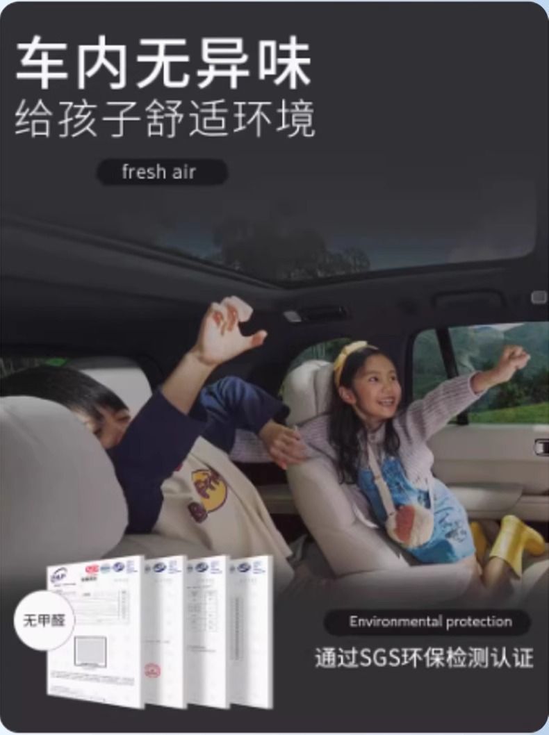 Applicable to Volkswagen CC Foot Pad Enclosed 25 24 Single Piece Threshold TPE Car Foot Pad Carpet Pad Star Blanket