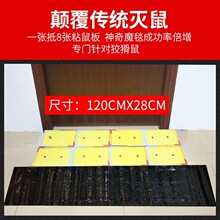 ���Sֱ�l�羳��̏���ճ���ճ���N֩�����Λρ���x������̺���N