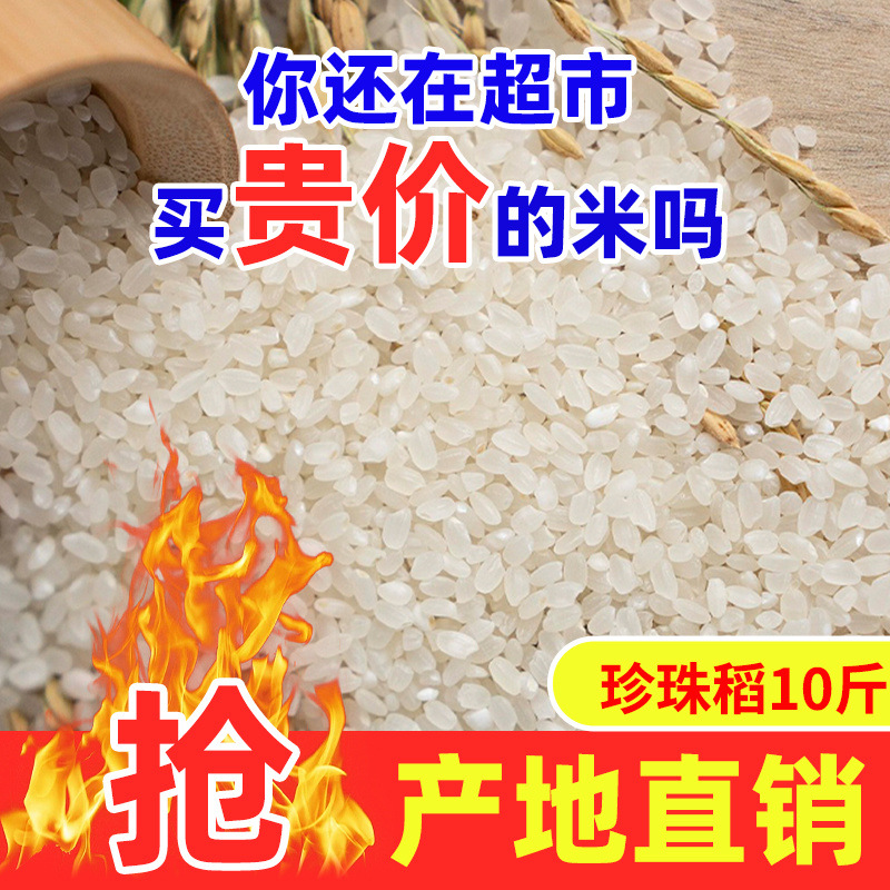 [품질 업그레이드] 고품질 부드러운 향미 5kg - 핫 스타일