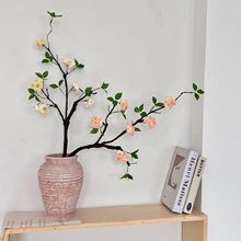 �l��÷�����滨�ٻ��[����֦÷����������ܛ�͏d�[�O��ʽ�Ҿ��b�