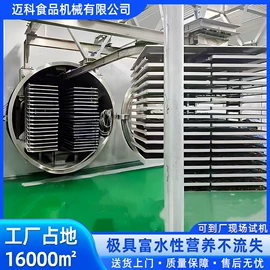 真空干燥机;休闲食品加工;果蔬加工设备
