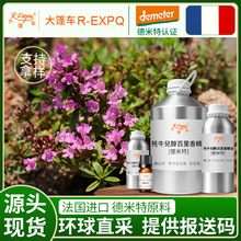 ���������J�C����ţ���������㾫�� Thymus Vulgaris L ����ֱ��
