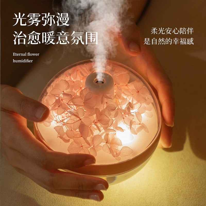 Creative humidifier, moisturizing lights for bed, Birthday gift