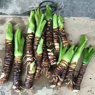 ��ˮ�^���Gֲ���~�Ϙ�����ˮ��������ļ����G�͏d�҃ȾGֲ����ȩ