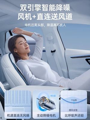 Multi-function pad — pad, truck massage cushion, Tesla