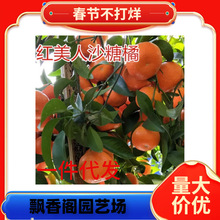 ɳ�ǽ��Ә���V��ɰ�����Ә����ĕ����Ә���޽ӽ�������������