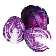 山东紫甘蓝产地直发蔬菜包邮当季蔬菜紫甘蓝一件代发