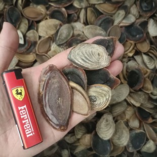 �����ϸ����ș�ú����w�݅�500g�ŷ����y���㌣����Ȼ��������l