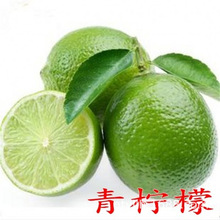 ���l�������纣�ϟo����������޽ӹ������ϱ����Nˮ����ľ���Ե�