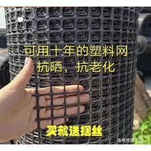 ������������Χ����������������ֳ��������Χ��դ�������԰����