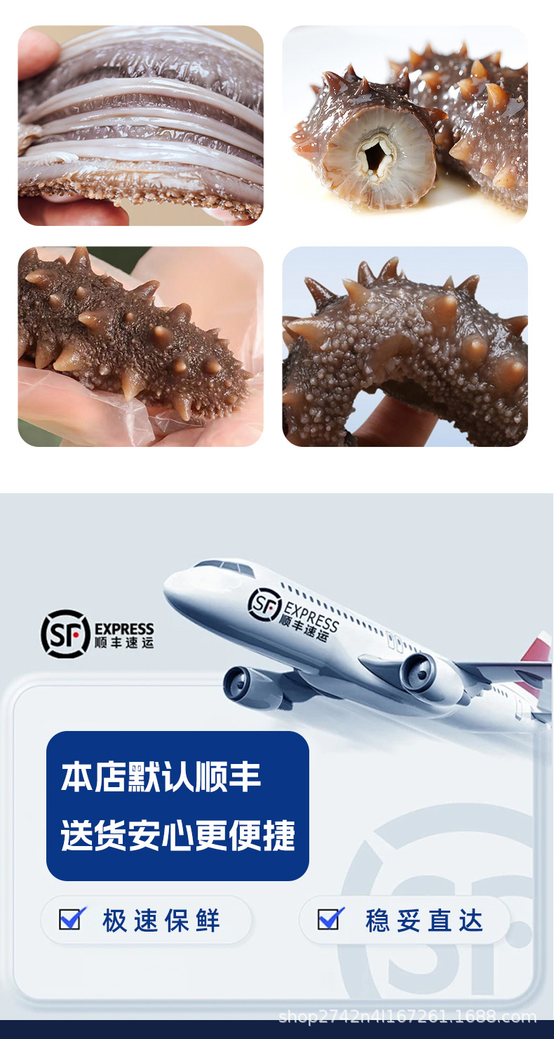 Dalian Premium Lightly Dried Sea Cucumber Gift Box 50g Custom Grade 6-7 Year in use