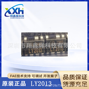 LY2013�Դ����IC
