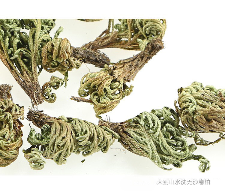 Dried Selaginella Juan Bai 250g Resurrection Herb Whole Plant Traditional Chinese Herbal Tea Material overview