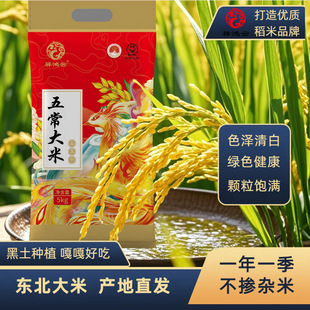 ������峣���ז|���L������ؕ�׮a��ֱ�l������b5kg/10kg���l