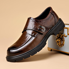 2025��ʿƤЬ�п�ţƤ�������e�ٴ��̄���ʿӢ�����bܛ�׵±���Ь