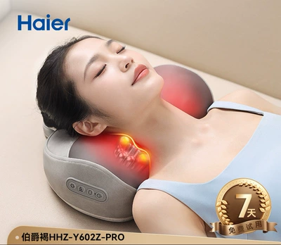 Masaj avadanlığı pillow cushion for waist, back, and - earl-brown-hhz-y602z-pro