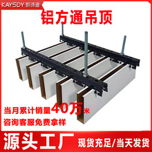 �F؛ľ�y�X��ͨ��ɫu�͵�������T�^�컨�X���܏S��ȫ�X����