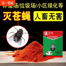 老鸡牌灭蝇王100袋一闻死杀蝇饵剂苍蝇药粉状长效灭蝇剂苍蝇克星