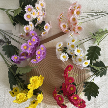 �nʽ����С�r����@�l���L��Ҿ��b�С�ѻ����滨�ջ��ٻ�Ұ�ջ�