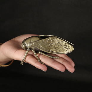 �羳�����¹������f�S�~֪�˽��s�����~�茙�͏d�����k���Ҵ�[��