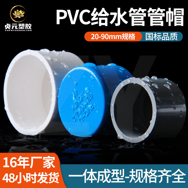 厂家批发PVC管帽堵头闷头多种规格胶粘塑料给水管件配件厂家直营