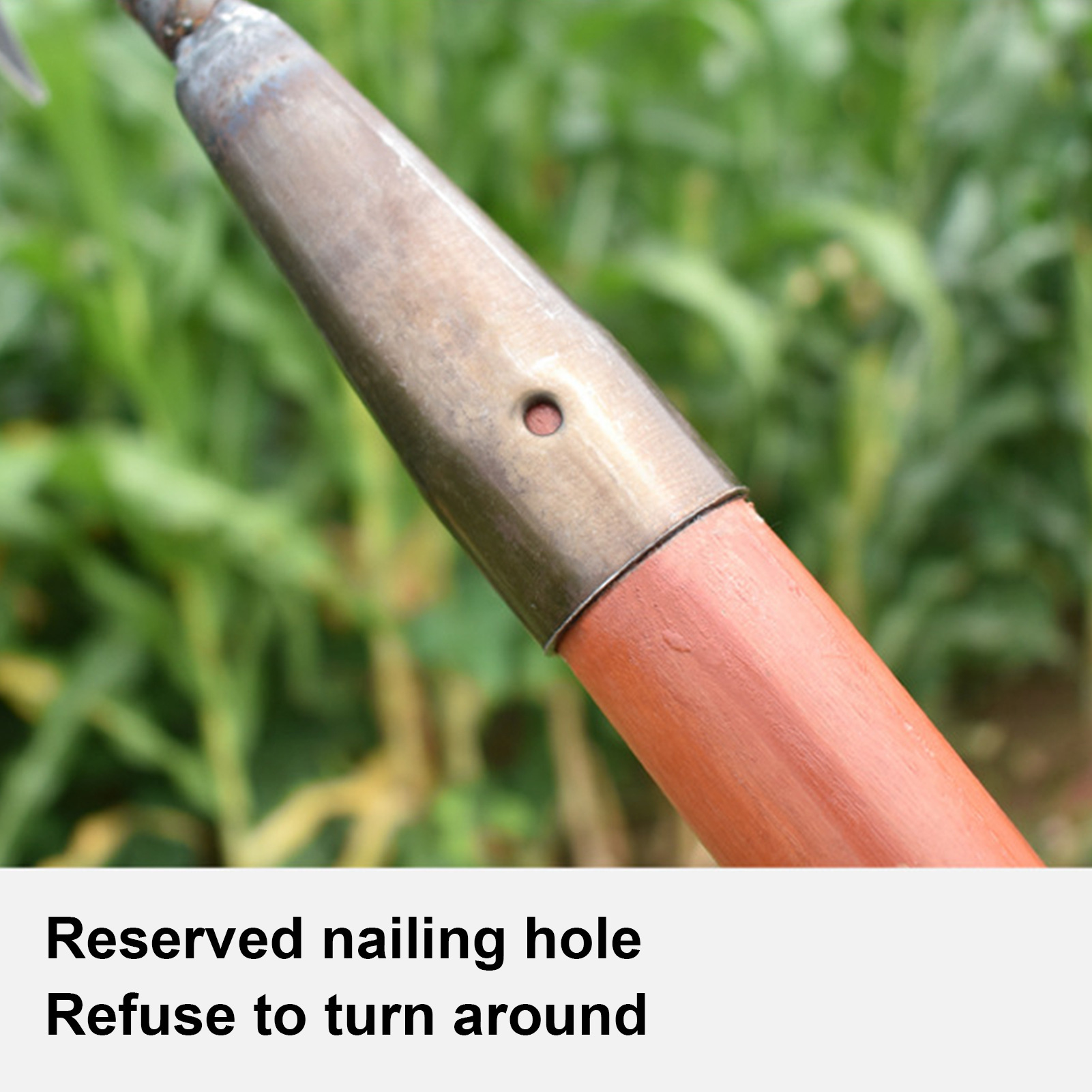 Râteau à Chaume En Métal Pour Jardinage, Désherbage Râteau à Dents En Métal Robuste, Enlèvement De Chaume, Désherbage, Râteau De Surface, Roche, Gravier, Râteau Universel Pour CultivateursQuatre Dents 10 width=800