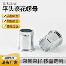 ƽ�^�L����ĸ���ƹ̶������U���_���z���m�����U�̶�����A��