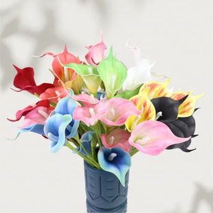 ���S�����R��ɏ3D��ӡ�ߙn�R��ɏ���������羳����