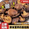 precooked and ready to be eaten mushrooms Chips mushrooms dried mushrooms Dry mushrooms Dehydration Dry vegetables snacks wholesale snack