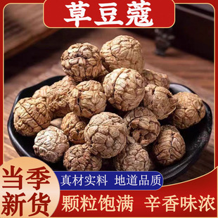 ���ڲݶ�ޢ������؛��ޢ�ݿ��u������{�ϻ�偵��������ϲݿܸ�؛