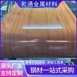 厂家定尺冲孔彩图钢板 白色海蓝色彩涂钢卷 印花彩涂卷现货