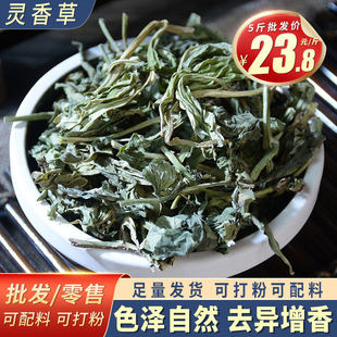 �`��� �`��������Ѭ��������`����~��؛���������{��