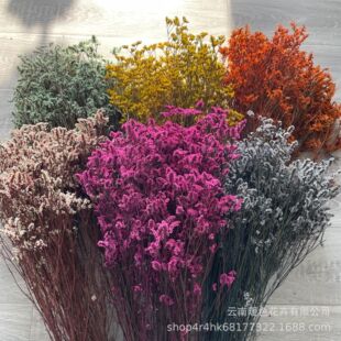 ������ˮ���ݸɻ��廨������ϏS��ֱ���Ҿӻ�Y�Ɍ��b�DIY