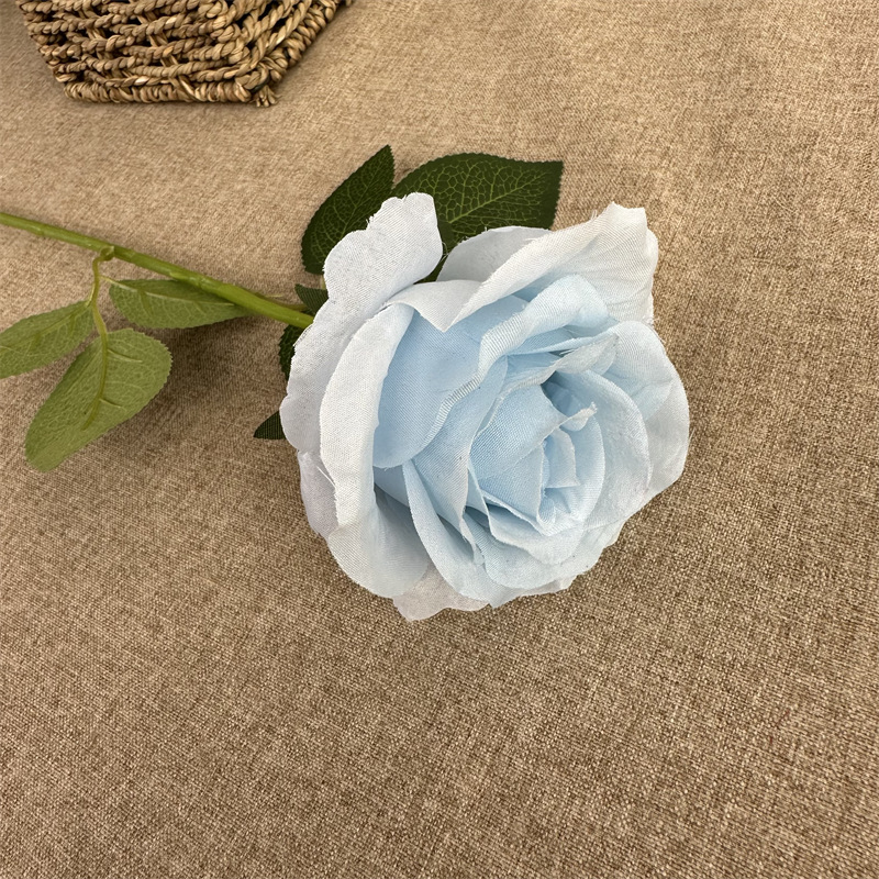 Single Anna Rose Light Blue