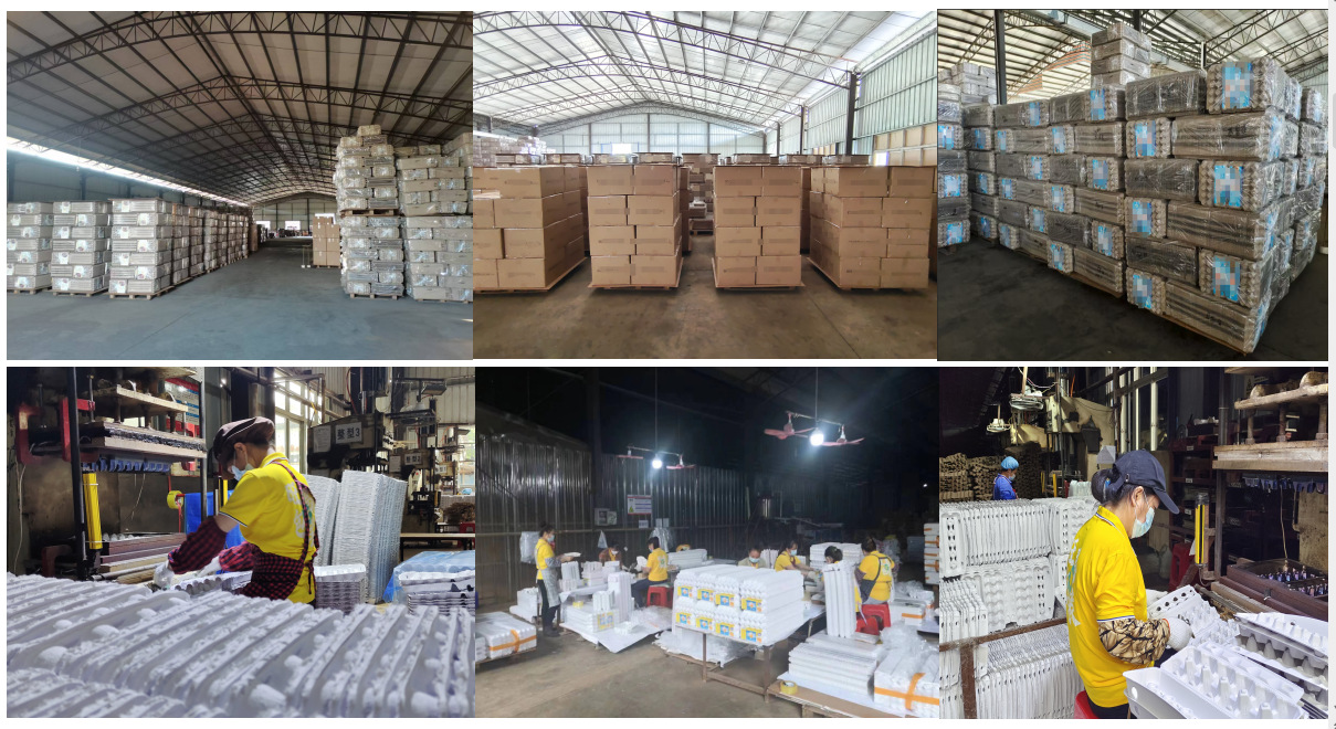 57e923cda33e37fc2544b3712cc6bb