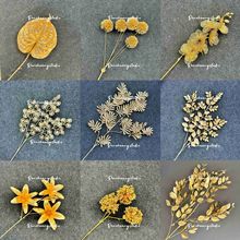 ��ɫϵ���滨�������ҾӸ�Ͱ�����ȼ����y���~�^���b�ɫ�~��