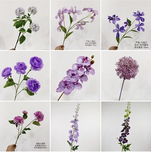 ��Ʒ�|��ɫϵ���滨�� ��Y�� ��c�ٻ� �����쾰������S�����l