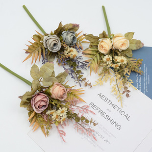 ��ɫõ����滨���Fõ���������羳���N��޹Ƭ�廨�̈�����չ����