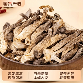 香菇;蘑菇