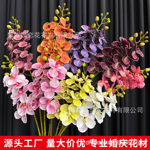 �W�t�����ָ��^�zС�����mޥ�mǧ�B�m�Ɍ�ܛ�b�쾰��c���ֶY�b�