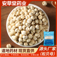 定制川贝母(松贝)中药材净制炖雪梨袋装川贝母 中药干货无杂无硫