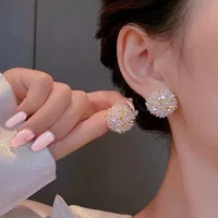 S925 серебряная игла легкая роскошь нишевые дизайны цветы ушные гвозди холодные ветровые серьги дикие супер феи высокого уровня серьги